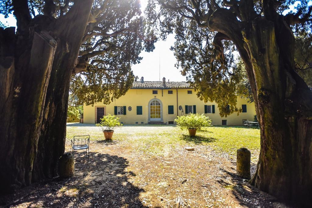 Villa San Dalmazio Splendida Appena 5Km Dal Centro シエーナ エクステリア 写真